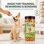 DR. PETS BISTIK BISCUIT CHICKEN OATS