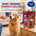DR. PETS BISTIK BISCUIT REAL CHICKEN