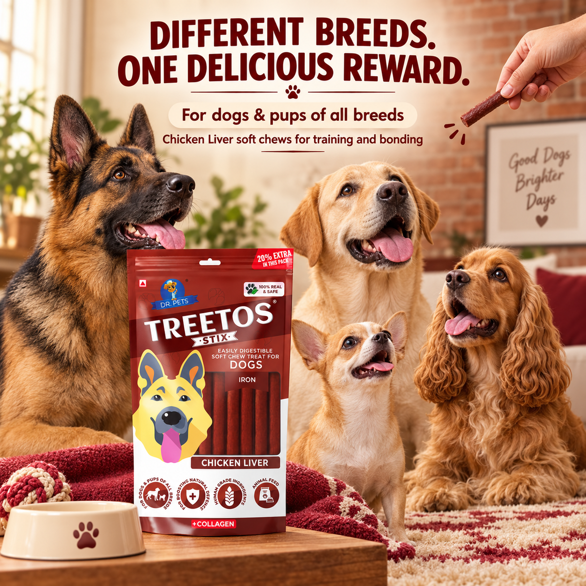 DR. PETS TREETOS CHICKEN LIVER