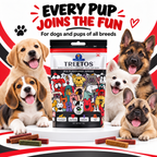 DR. PETS TREETOS MIX FLAVOUR