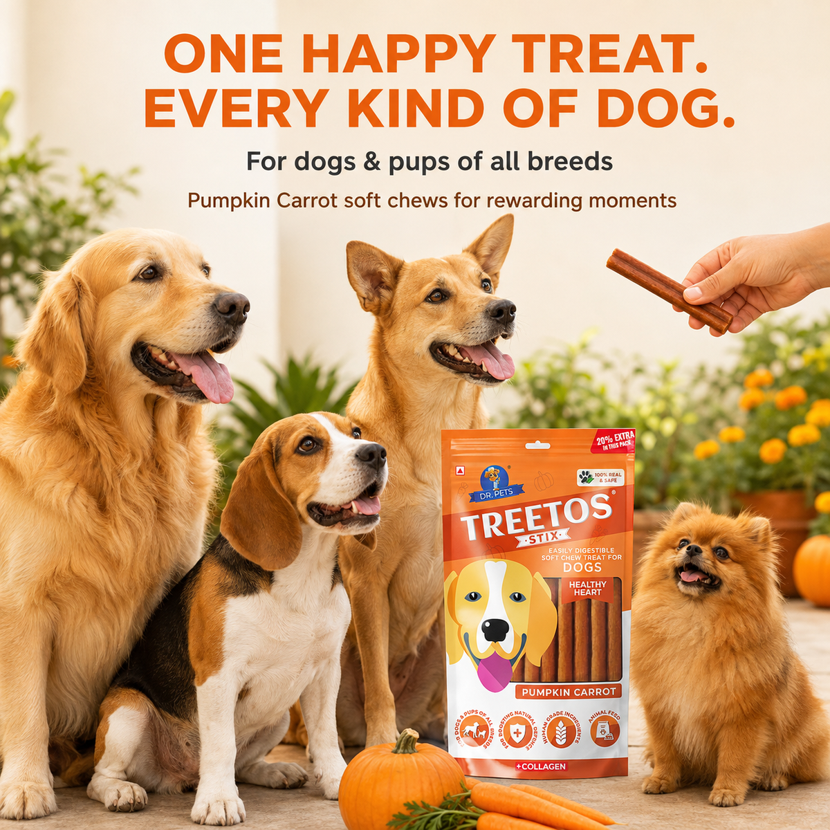 DR. PETS TREETOS PUMPKIN CARROT