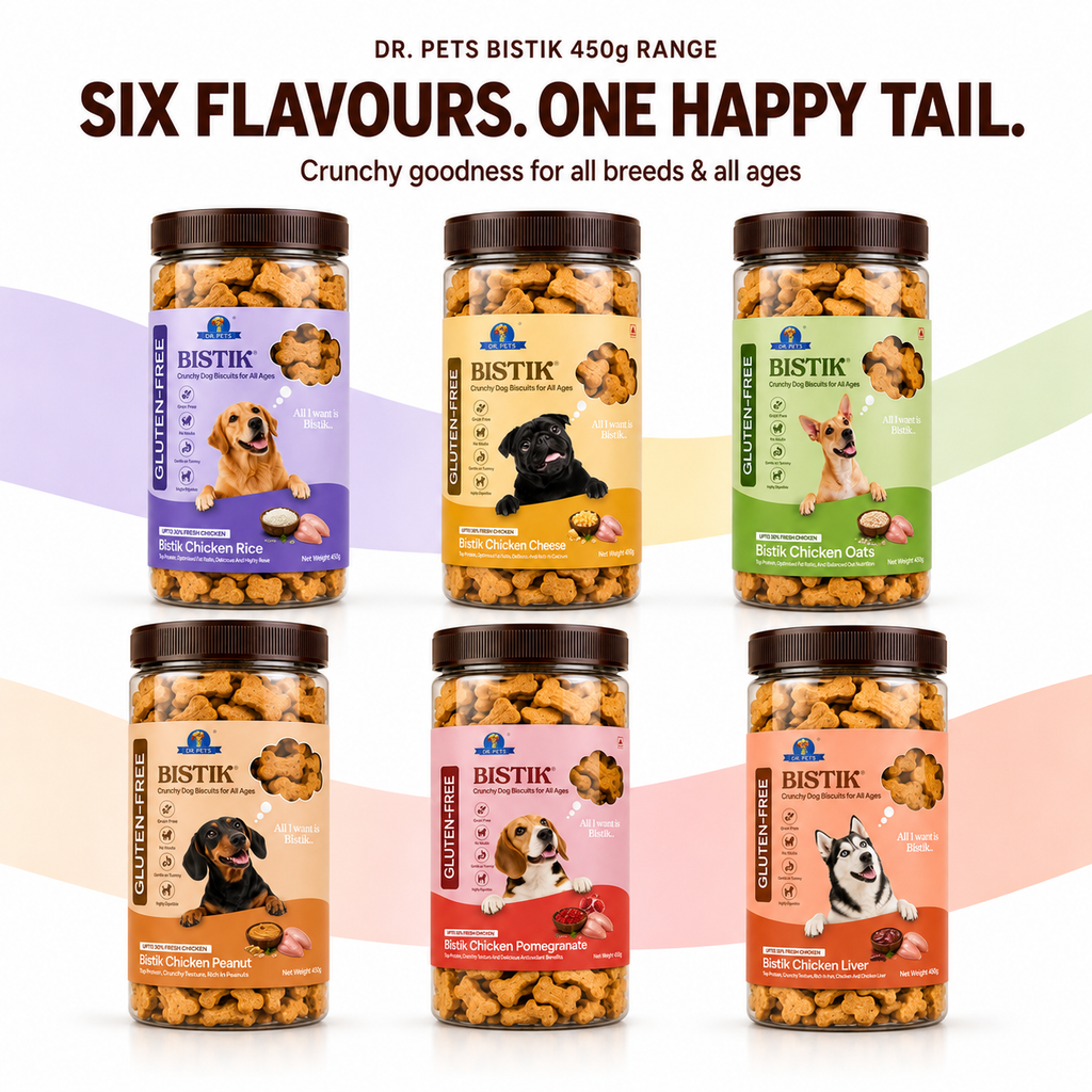 DR. PETS BISTIK BISCUIT CHICKEN LIVER