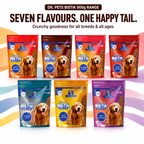 DR. PETS BISTIK BISCUIT REAL CHICKEN