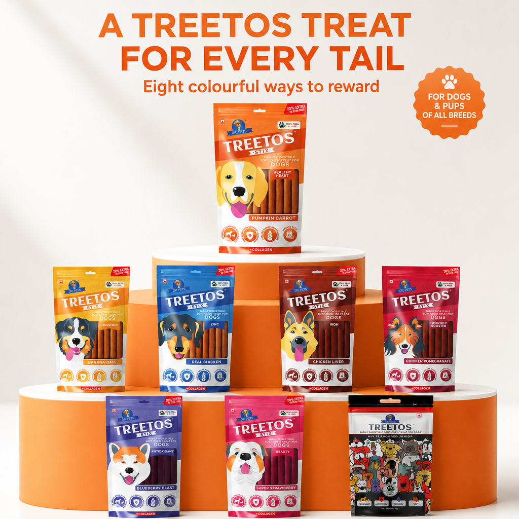 DR. PETS TREETOS PUMPKIN CARROT