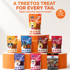 DR. PETS TREETOS PUMPKIN CARROT
