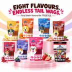 DR. PETS TREETOS SUPER STRAWBERRY