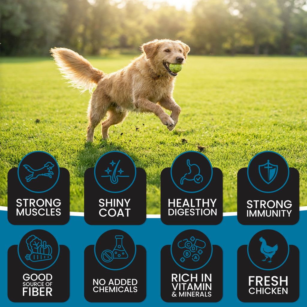 DR. PETS SUPERDAWG ADULT DOG FOOD