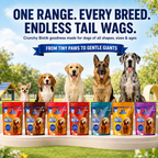 DR. PETS BISTIK BISCUIT APPLE BANANA
