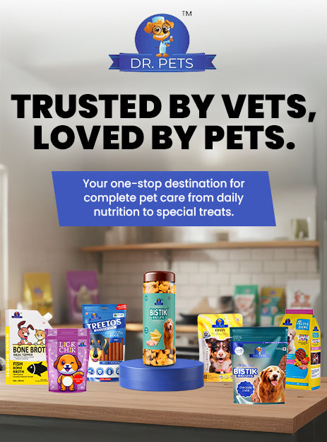 DR. PETS BISTIK BISCUIT WCH CHEESE