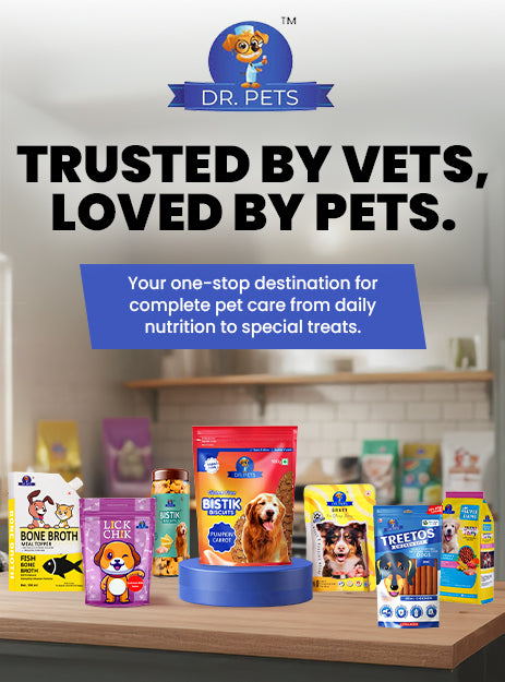 DR. PETS BISTIK BISCUIT PUMPKIN CARROT