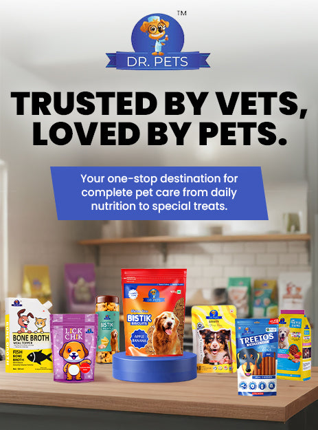 DR. PETS BISTIK BISCUIT APPLE BANANA