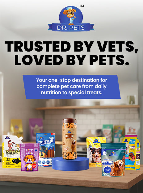 DR. PETS BISTIK BISCUIT WCH OATS