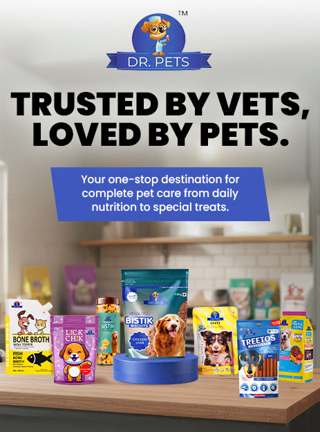 DR. PETS BISTIK BISCUIT CHICKEN LIVER