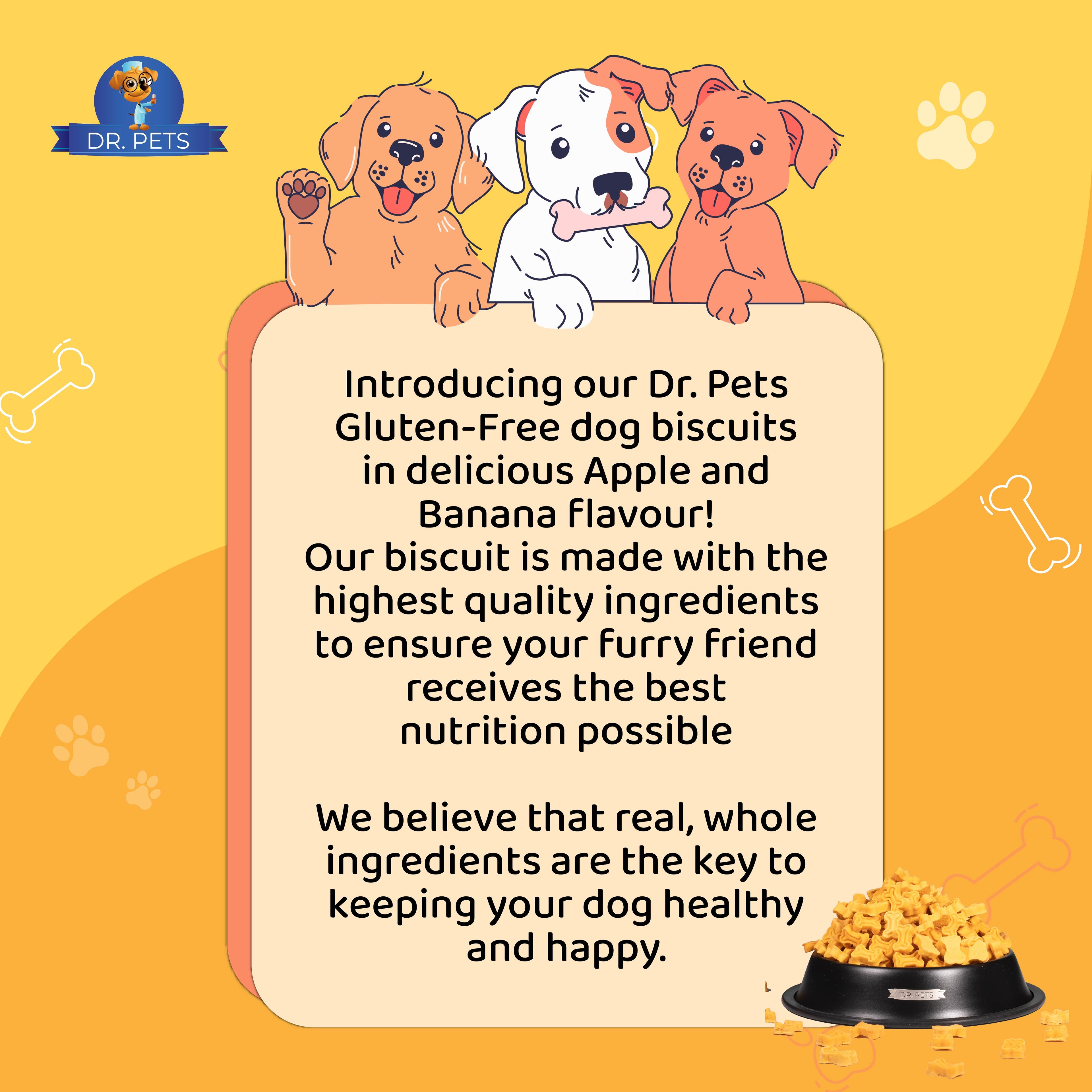 DR. PETS BISTIK BISCUIT APPLE BANANA