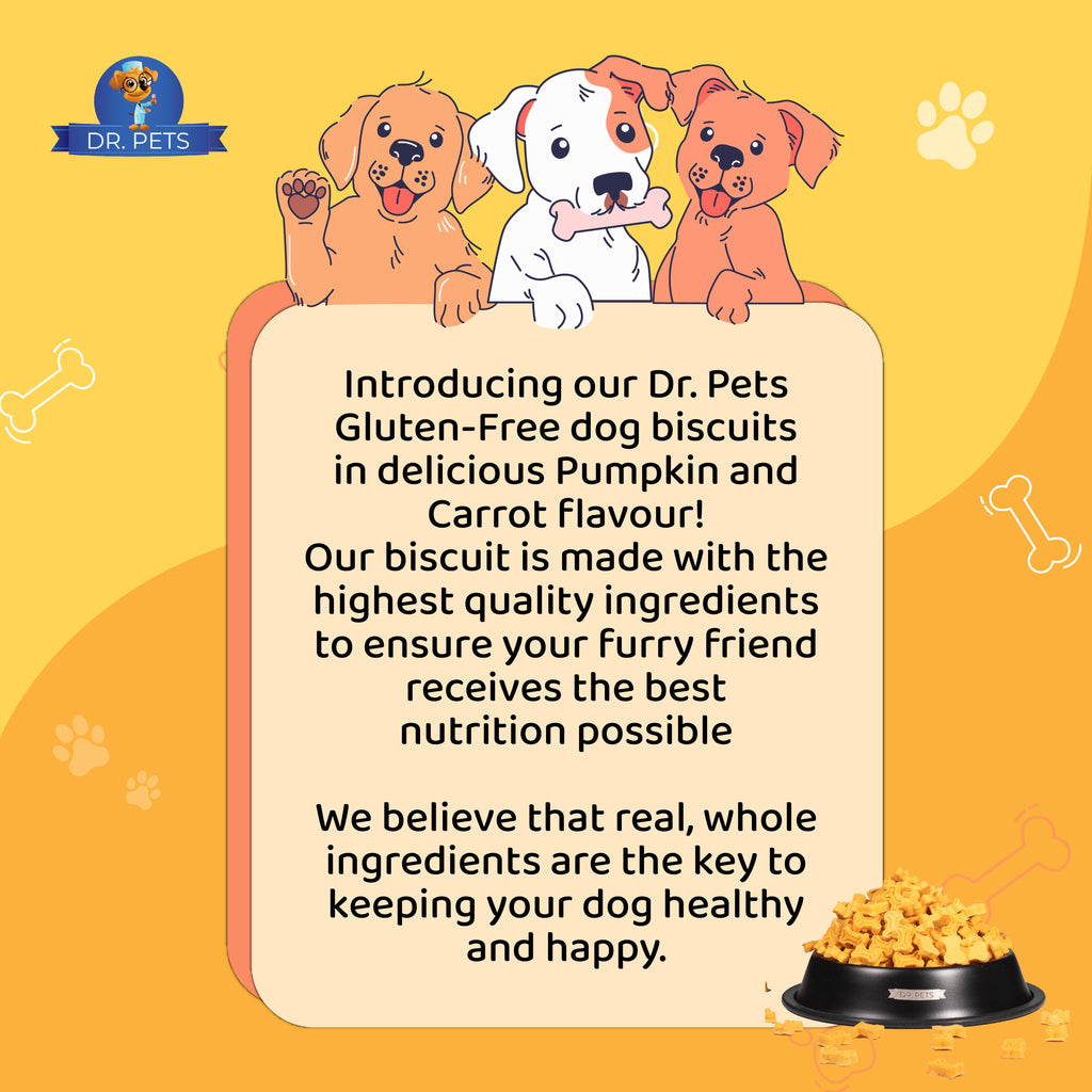 DR. PETS BISTIK BISCUIT PUMPKIN CARROT