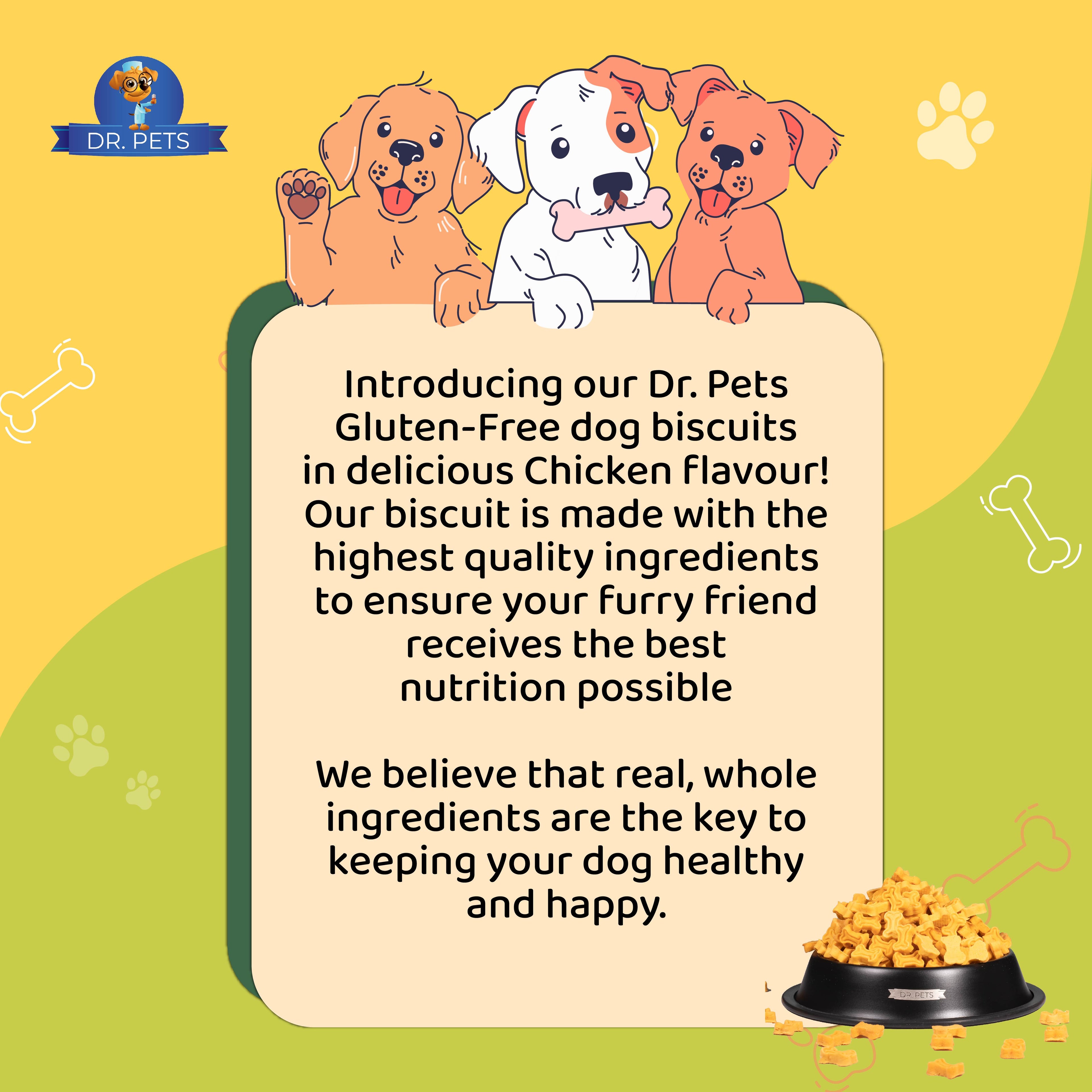 DR. PETS BISTIK BISCUIT CHICKEN LIVER