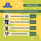DR. PETS BISTIK BISCUIT CHICKEN LIVER
