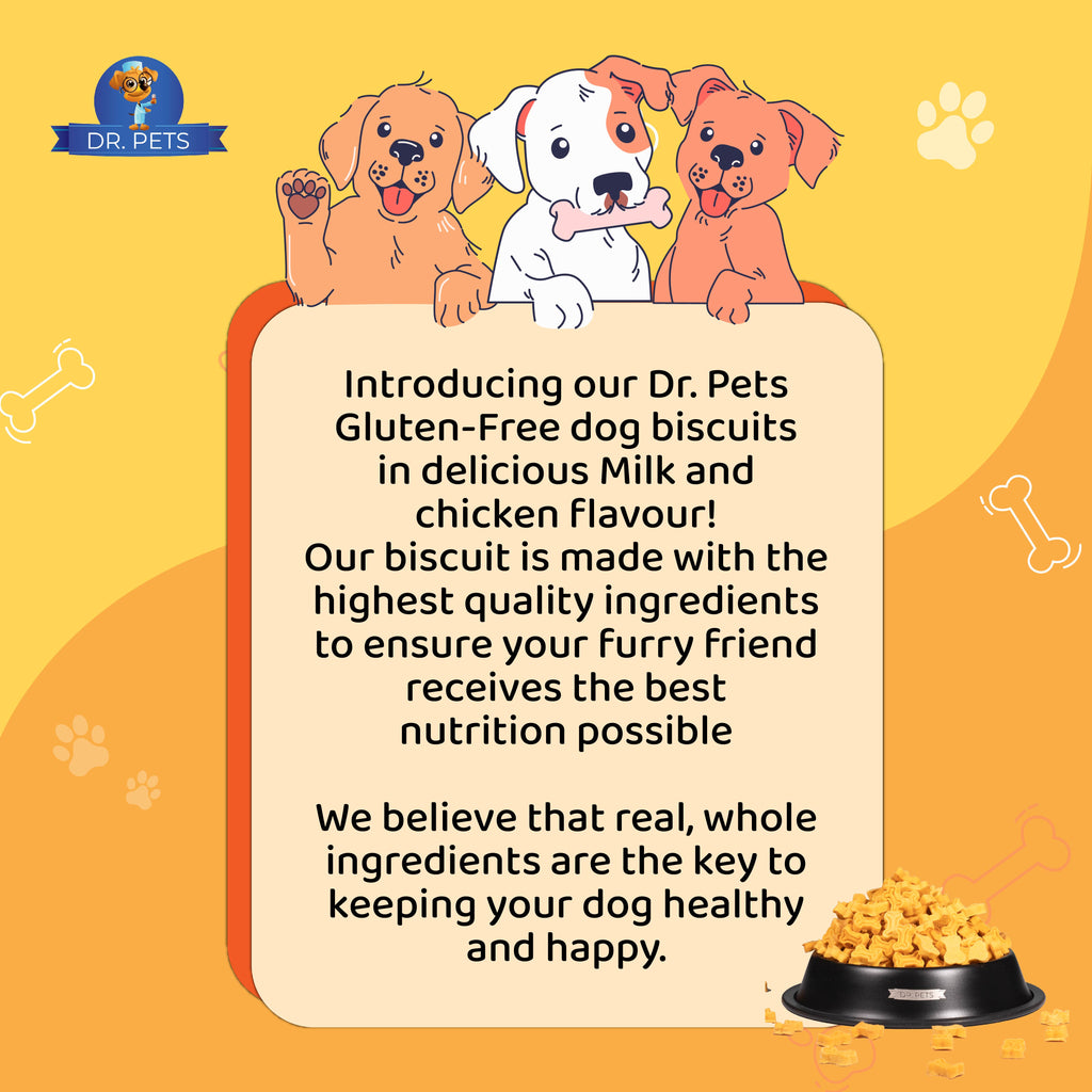 DR. PETS BISTIK BISCUIT MILK CHICKEN