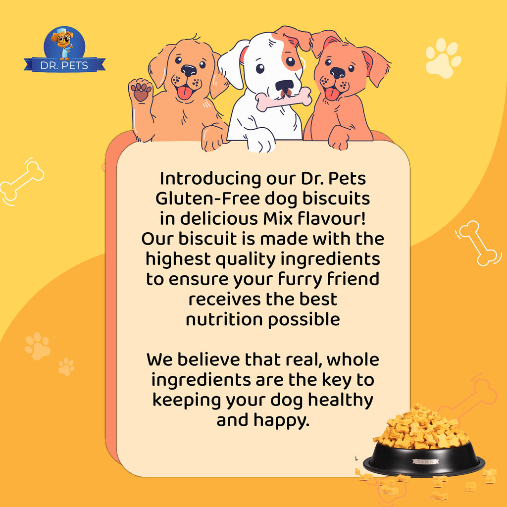 DR. PETS BISTIK BISCUIT MIX FLAVOUR