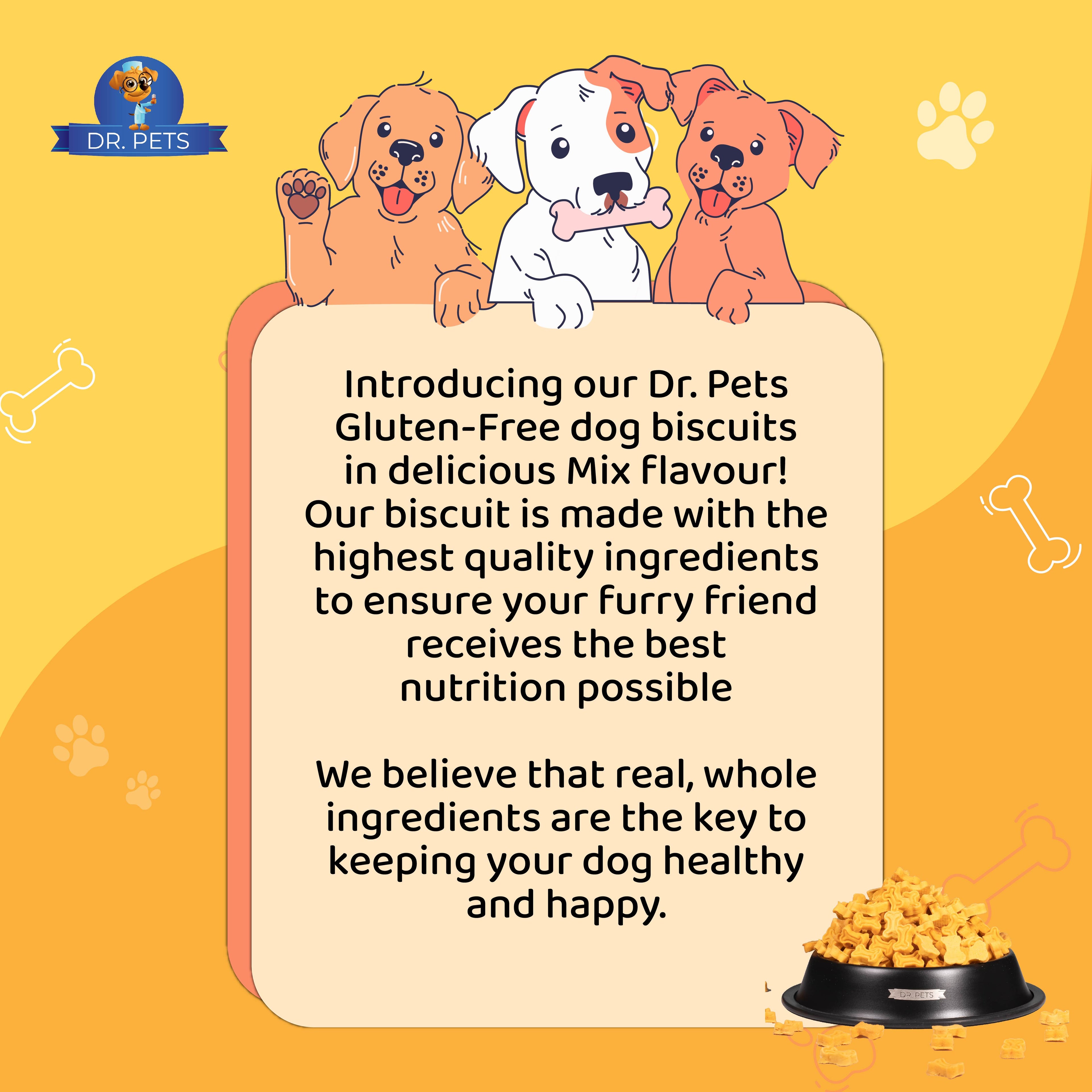 DR. PETS BISTIK BISCUIT MIX FLAVOUR