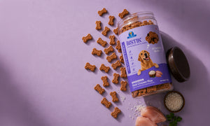 Bistik Training Treats