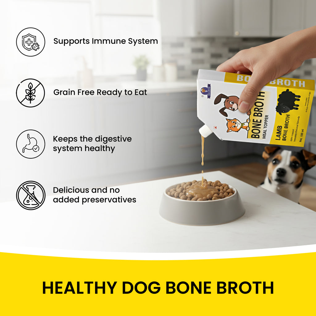 DR. PETS BONE BROTH FISH