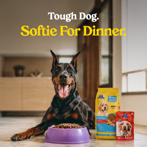 Tough dog, softie for dinner